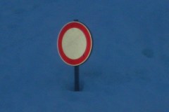 DSCN3453