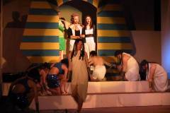 172-7232_IMG