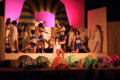 172-7262_IMG